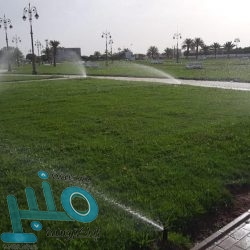 بالصور.. أمطار على بارق والعرضيات ومركز الويد