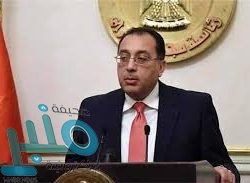 أمانة العاصمة المقدسة تصادر وتتلف أكثر 450 كجم من الأسماك والدواجن الفاسدة