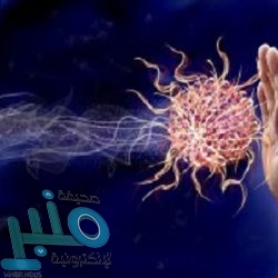 سيلفا وفيراتي يصنعان التاريخ في الدوري الفرنسي بعد تتويج سان جيرمان