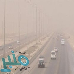 شرطة القصيم: إيقاف مواطن ينشر تغريداتٍ مسيئةٍ للمنطقة