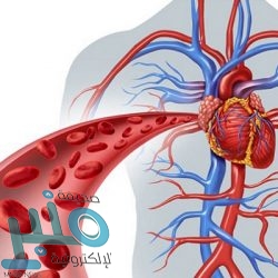 الحياني: ذكرى بيعة ولي العهد ذكرى نهوض ووثبة وطنية