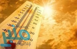 “الصحة” تُطلق خدمة الـ”واتس آب” لمركز 937