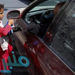 “البيئة” تفسح أكثر من 300 ألف طن من الخضراوات والفاكهة