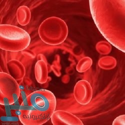 “الأرصاد”: أمطار رعدية غزيرة ورياح نشطة على معظم المناطق