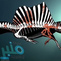 ابتكار مطهر أنف بتقنية “النانو” يقي من الإصابة بالفيروسات