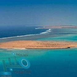 فيتامين “د”.. ما هي مخاطر نقصه؟ وكيف يتم تعويضه؟