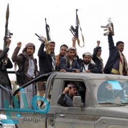 أمانة العاصمة المقدسة تصادر 1609 كيلوجرامات من الخضار والفواكه