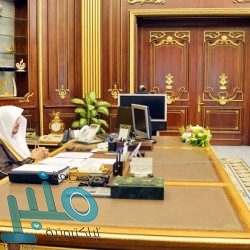 الغامدي والشهراني: فحص الزواج رغم إنه إلزامي إلا أنه مفيد للزوجين