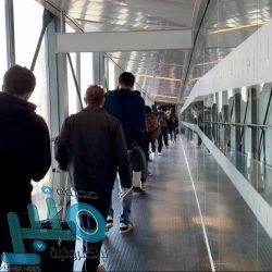 صندوق التنمية الزراعية يعتمد قروضًا بقيمة 296 مليون ريال