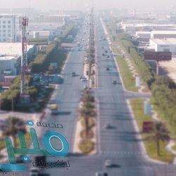 «الغذاء والدواء» : 5 خطوات هامة للتعامل مع أكياس المشتريات لتجنب عدوى كورونا