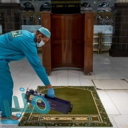 مصادرة 400 كيلو خضروات من الباعة الجائلين في الشوقية