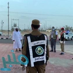 مجلس الوزراء يعقد جلسته عبر الاتصال المرئي ويصدر عددًا من القرارات