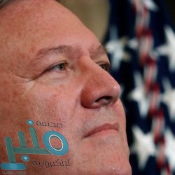 إنتاج أول ألبان أبقار طبيعية بالأحسبة بالقنفذة