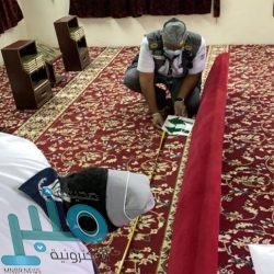 ضبط وإتلاف 34 طن أسماك فاسدة بجازان
