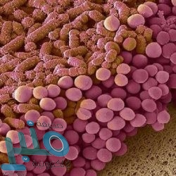 أطباء يكشفون ما تفعله الكمامات بـ”قلوب الأطفال”