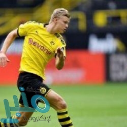 الصين تسجل 5 إصابات جديدة بفيروس كورونا