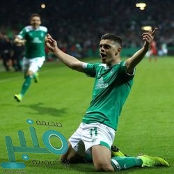 “قرود تشبه البشر”.. نجاح أول تجربة حيوانية على لقاح ضد “كورونا”