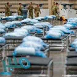 الأحوال المدنية تواصل تقديم خدمة تسجيل المواليد إلكترونياً