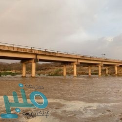 “أمانة تبوك” تستثمر فترة منع التجول في صيانة وتأهيل عدد من المتنزهات العامة