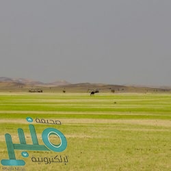 الزبيدي بفخر واعتزاز يصدح بـ”دولتي العظمى”