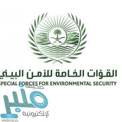 ضبط 6 متسولين بمحافظة أبو عريش في جازان
