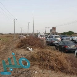 المملكة إلى المرتبة العاشرة عالميًا في سرعة الإنترنت