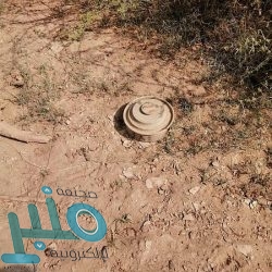 النيابة العامة تكشف حقيقة استمرار قصر تقديم خدماتها عن بُعد