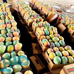 بالأسماء.. مجلس الوزراء يُقر رفع التعرفة الجمركية لـ 575 سلعة