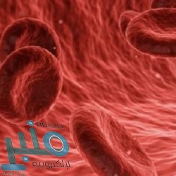 اكتشاف علاقة غريبة بين إتقان الرياضيات والإقلاع عن التدخين