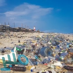 شركة شاورمر للأغذية توفر وظائف شاغرة لذوي الخبرة