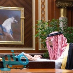 “البيئة” في مكة تطلق 14 عيادة بيطرية متنقلة