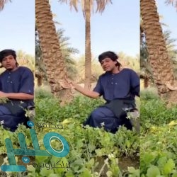 في يوم انعقادها.. روسيا وتركيا تؤجلان محادثات وزارية حول ليبيا وسوريا