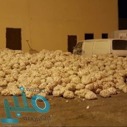 بعد قرار عودة الدوري .. تصريحات هامة لـ”المسحل” بشأن المواعيد والحكام وتقنية الفيديو