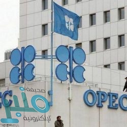 شرطة الرياض تطيح بتشكيل عصابي تورط في 15 جريمة