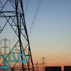 الربيعة لأبطال الصحة: شكراً لكم من القلب.. فأنتم من تحموننا بعد الله