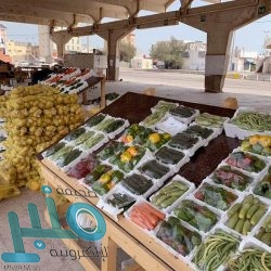 “الخارجية” : تقرير أمين عام الأمم المتحدة بشأن إيران يؤكد ضلوعها المباشر في الهجمات الصاروخية التي استهدفت المملكة