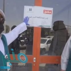 واتساب يزيل خاصية الظهور «متصل الآن» أو «on line» و «جاري الكتابة»