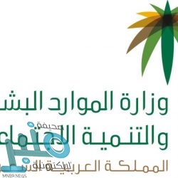 وزير الدفاع المصري: مصر ستبقى دائما سندا لقضايا أمتها العربية والإسلامية