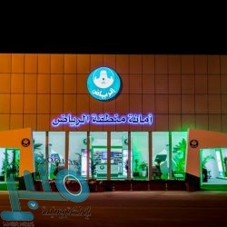 «النيابة العامة» تأمر بالقبض على شخص ظهر بفيديو يروج لمعلومات مغلوطة