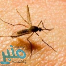 “الضمان الصحي”: المؤمن له يتحمل تكلفة فحص “كورونا” في حالة واحدة