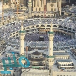 مصر تسجل 1576 إصابة جديدة بفيروس كورونا و85 حالة وفاة