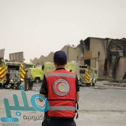 “النيابة” تحيل تشكيل عصابي للمحكمة بتهمة إنشاء معمل متكامل لتزوير الوثائق الرسمية