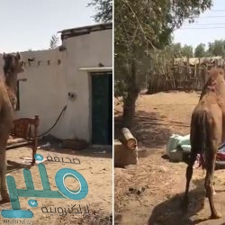 مدير تعليم المخواة يطلق خدمة “موعد” الإلكترونية