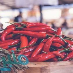 الصيام لفترات يُعزز فعالية علاج الأورام ‏السرطانية