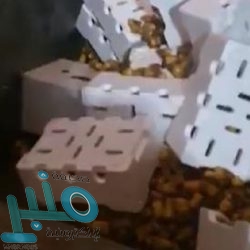 تغطي 35% من الأمراض .. «الضمان الصحي» يطلق الحزمة الأولى من البروتوكولات الطبية