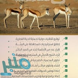 أمانة جدة تنفذ أكثر من 170 ألف جولة رقابية منذ بداية جائحة كورونا