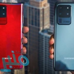 استخدم منذ القدم في العديدمن العلاجات.. تعرف على فوائد القسط الهندي