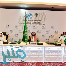 الخطوط الجوية تُعلن استئناف المزيد من الرحلات الداخلية