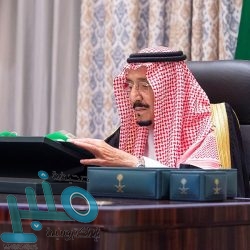 مجلس النيابة العامة يعقد أولى جلساته