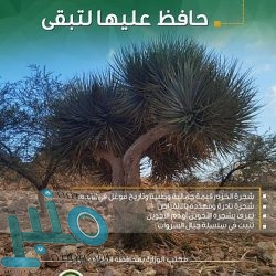 ساعة “أبل” تكافح كورونا بتحديث برمجي جديد (صور)